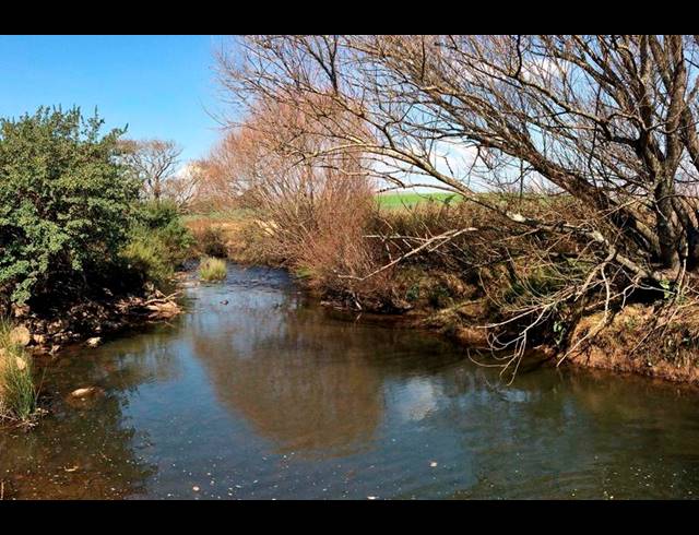 FARM FOR SALE IN ROSETTA